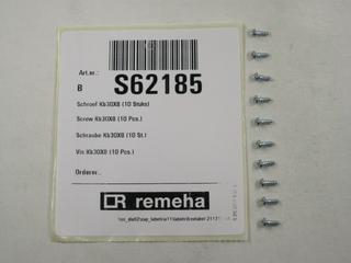 RE Schraube 30x8 (10x) S62185