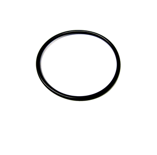 Vortex O-Ring BWO 200 für BWO 200 Pumpengehäuse