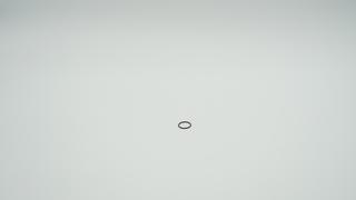 BWT O-RING EP70 19X1,5 KTW