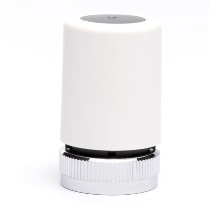 ERROR: Translation for PRODUCT_GALLERY_IMAGE_ALT not found!