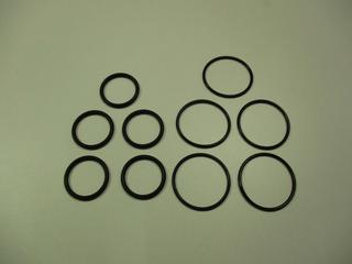 RE O-RING DICHTUNG S101664