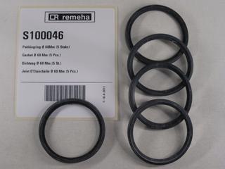 RE Lippendichtung D 60 Mm.(5x) S100046