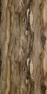 Multipanel Wand-Paneel Hydrol. 2400x1200x11mm, Dolce Macchiato
