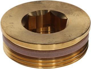 BOSCH Ersatzteil TTNR: 8735101094 Stopfen G1 1/2" SW22 mit PTFE-Ring EVERP