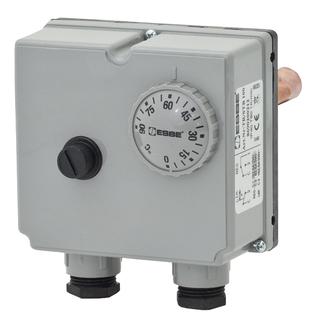 Esbe Doppel-Tauchthermostat TIB 121 G 1/2, Tauchhülse 100mm
