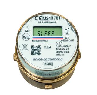 Wasser-Geräte WWZ Unimeter WG-Elect.Flow TWO in ONE Pollumuk, Q3 2,5, m3/h 1,5