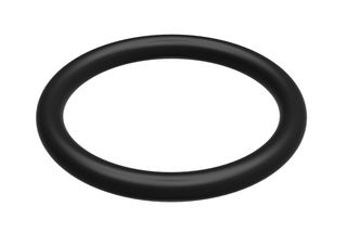 BOSCH Ersatzteil TTNR: 87161408140 O-Ring (10x)