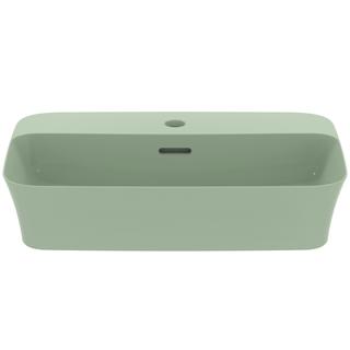 IS Aufsatzschale Ipalyss 55x38x14,5cm, m ÜL, 1 HL, salbeigrün