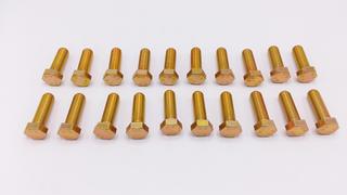 RE Bolzen M16x50 (20x) S100115
