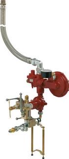 Netzgasanlage ND 24kg/h 50mbar POL x AG R1 OPSO PRV