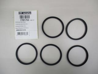 RE Dichtung D 100Mm (5x) 7701753