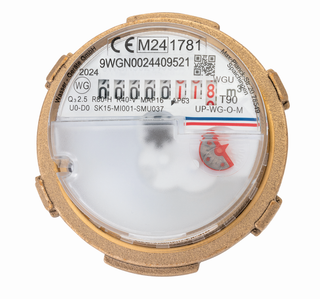 WG Unimeter ECO TWO in ONE WG ohne Rosette