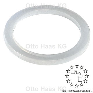 HAAS Wasserzähler-Dichtung 17x24x2mm, 1/2", für Kaltwasser, weiß