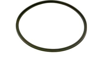 BOSCH Ersatzteil TTNR: 7736700060 Lippendichtung DN160