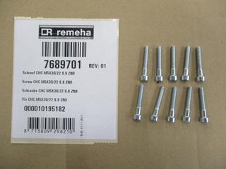 RE Schraube CHC M5x30/22 8.8 ZN8 (10x) 7689701
