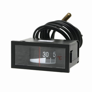Watts Fernthermometer m Kapillare, TEF 64/31 TafelEB 64x31mm