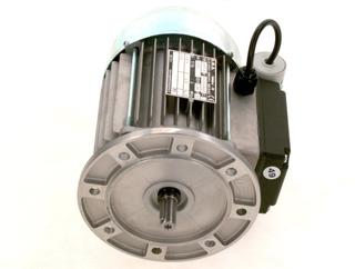 BOSCH Ersatzteil TTNR: 87185791740 Motor 0,25 kW everp