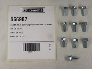RE ANSCHLUSSBOLZEN M6 (X10) S56987
