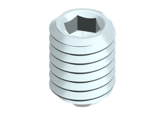 BOSCH Ersatzteil TTNR: 7747029978 Gewindestift DIN916 M6x8 (3x)