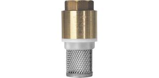 ASW Rückschlagventil 1 1/4", IG, MS CW617N r., m Schmutzfil.