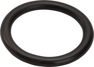 hansgrohe O-Ring 48x7,25mm