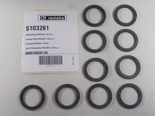 RE Dichtung 45x34x3 (10x) S103261