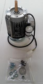 RE Motor für Ölpumpe 7752077