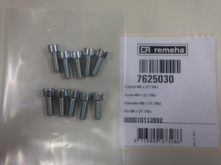 RE Schraube M8x22 (10x) 7625030