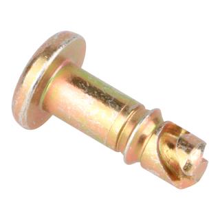 MHG Verschlußzapfen RE/DE/GE1/RZ3, 6 x 16 mm