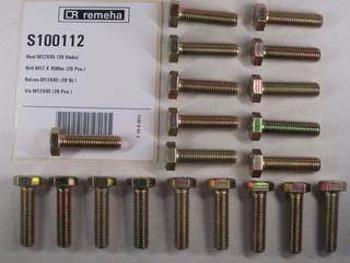RE Bolzen M12x45 (20x) S100112
