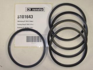 RE Dichtung D 100 (5x) S101643