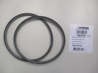 RE Dichtring D200 (2X) 7662701