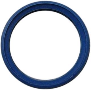 BOSCH Ersatzteil TTNR: 7096475 Lippendichtung DN80 (blau)