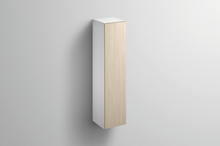 Alape Hochschrank HS.F01250.R 300x1246x303mm, Dekor E ge, An re
