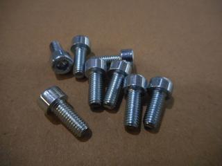 RE Schraube M5x12 (10x) S100468