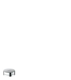 hansgrohe Geräteabsperrventil F21 d= 48mm, rund, Edelstahl Finish