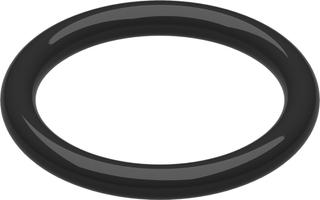 BOSCH Ersatzteil TTNR: 87485110200 O-Ring (5x)
