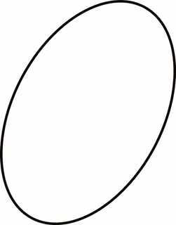 IS O-RING (912622)