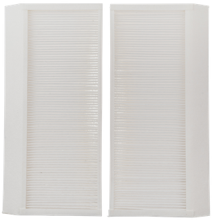 Wolf Pollenfilter-Set für CWL-2-325/400, EPM1 50%-, 2 Stück