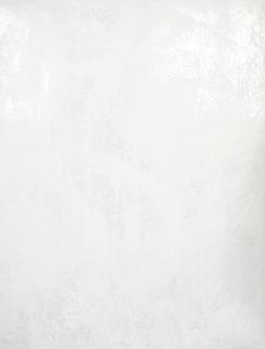 Multipanel Wand-Paneel Flachk. 2400x1200x11mm, Brig. wh. Stucco
