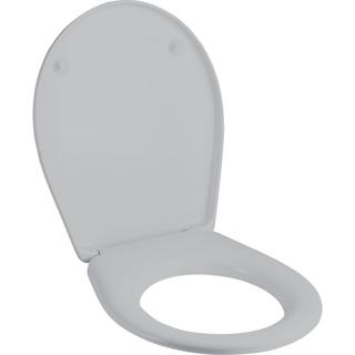 Geberit WC-Sitz Renova Plan manhatt, Befestig. v ob, Scharn. ES