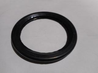 RE DICHTUNG GEHÄUSE-SIPHON 300024391