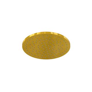 Steinberg Regenbrause Serie 100 d 200x8mm, brush. gol, m easy-cl. System