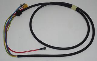 DK Kabelbaum Solepumpe für EGSQH10S18AA9W