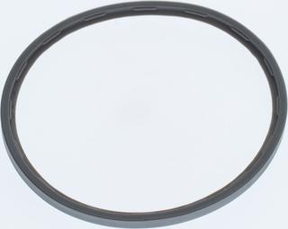 BOSCH Ersatzteil TTNR: 73847 Lippendichtung 125mm