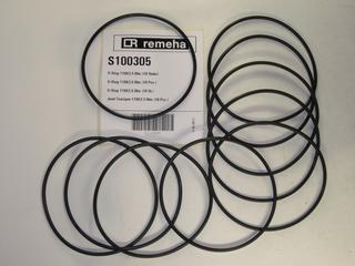 RE O-Ring 110X3,5 Gas 210 V3 S100305