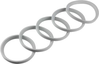 BOSCH Ersatzteil TTNR: 7747021733 Lippendichtung DN80 PerOxyd (5x) everp