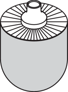 Bürstenkopf