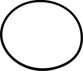 Wolf O-Ring 132 x 4 Viton für COB