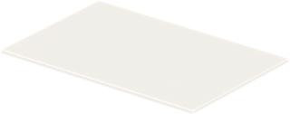 Duravit Glaseinleger DuraSquare 97x38cm, Sicherheitsglas, Weiß